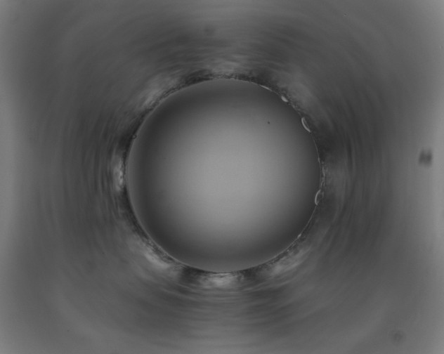 X0000093240479200709261712