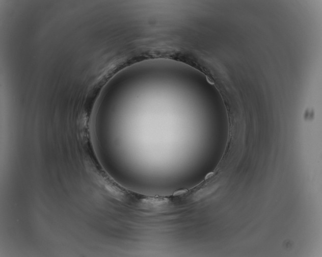 X0000093240480200709261712