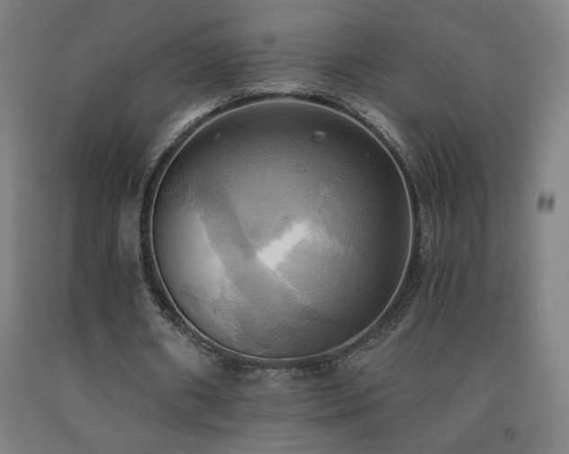 X0000093240482200709261712