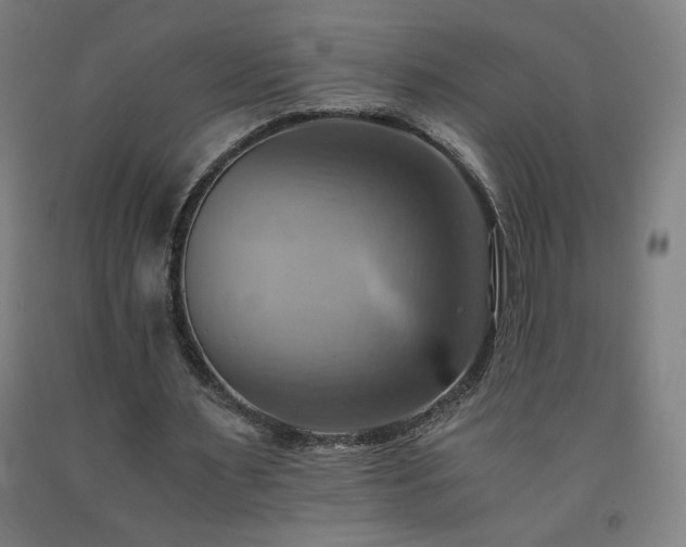 X0000093240483200709261712