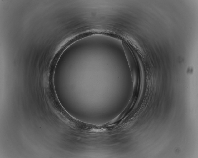 X0000093240484200709261712