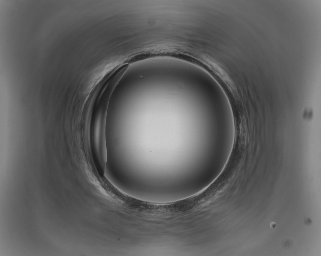 X0000093240485200709261711