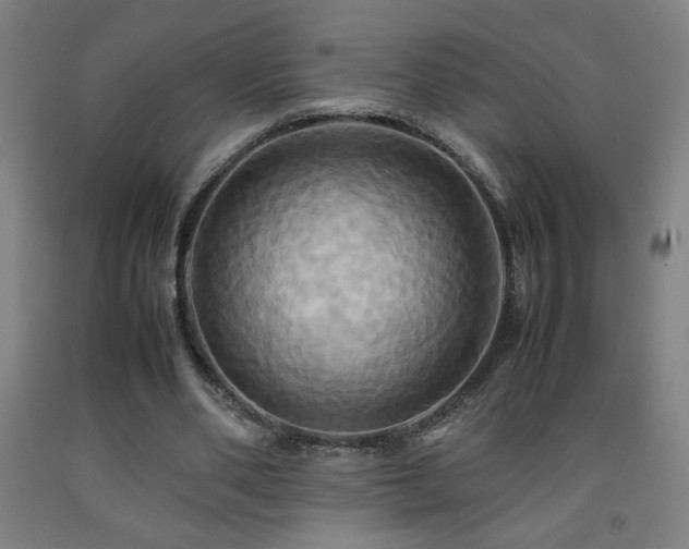 X0000093240486200709261711