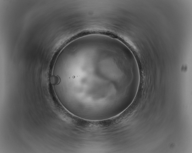 X0000093240487200709261711