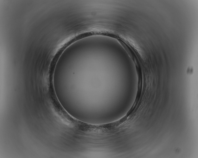 X0000093240488200709261711