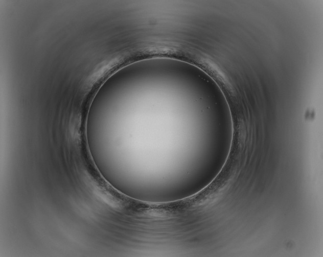 X0000093240490200709261711