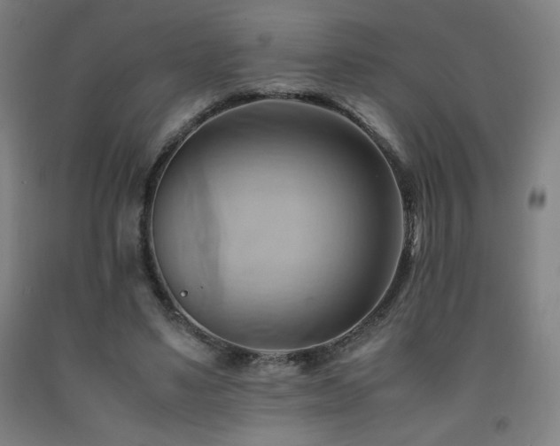 X0000093240491200709261711