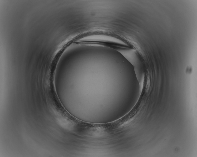 X0000093240492200709261711