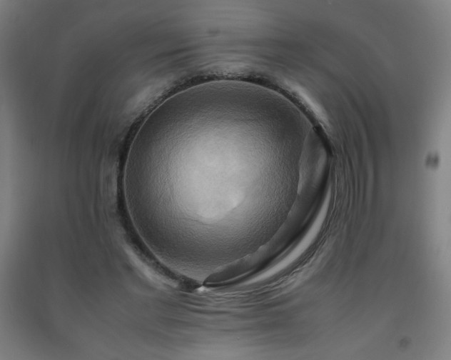 X0000093240493200709261711