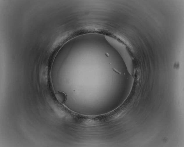 X0000093240494200709261711