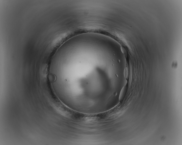X0000093240495200709261711