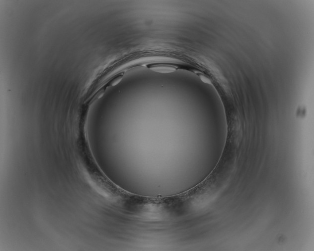 X0000093240496200709261711