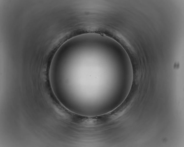 X0000093240497200709261711