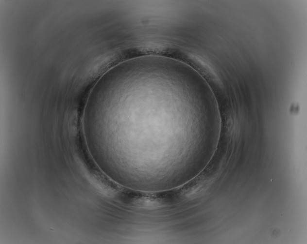 X0000093240498200709261711