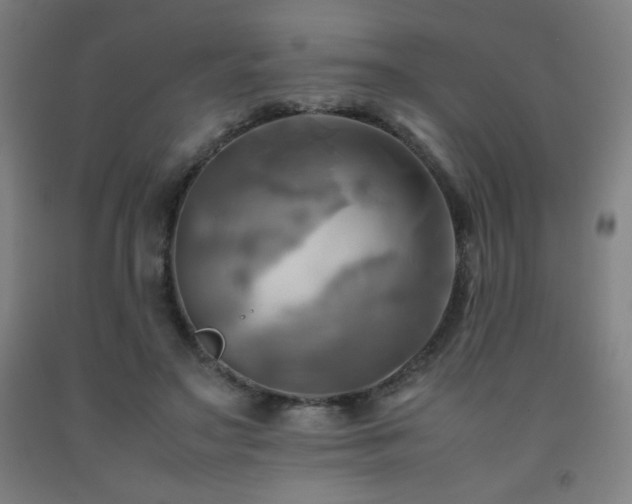 X0000093240499200709261711