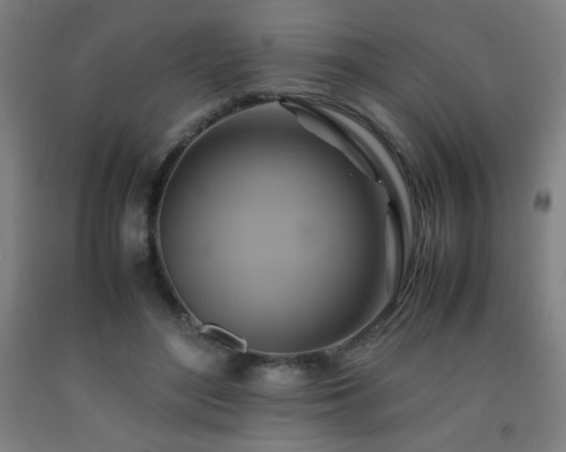X0000093240500200709261711