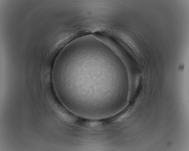 X0000093240501200709261711