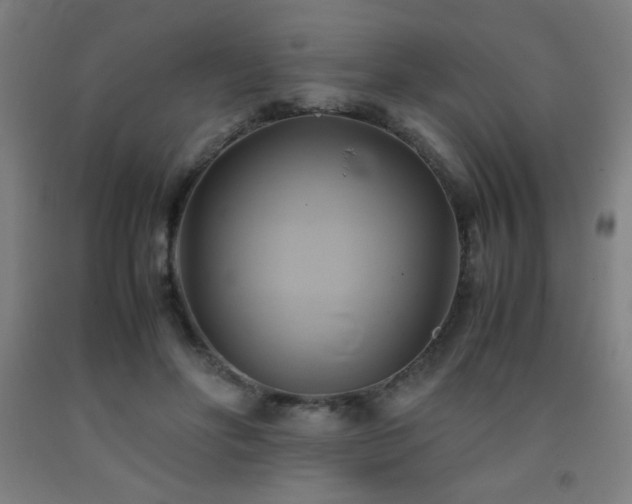 X0000093240502200709261711
