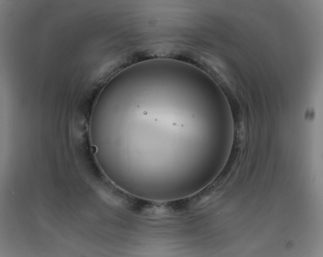X0000093240503200709261711