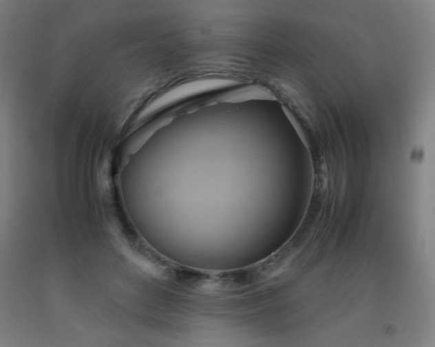 X0000093240504200709261711