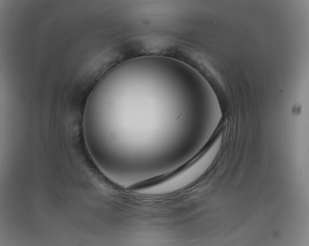 X0000093240505200709261711