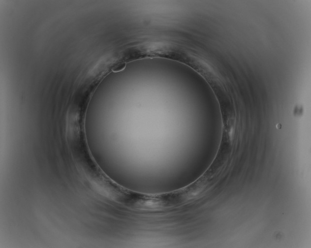 X0000093240506200709261711