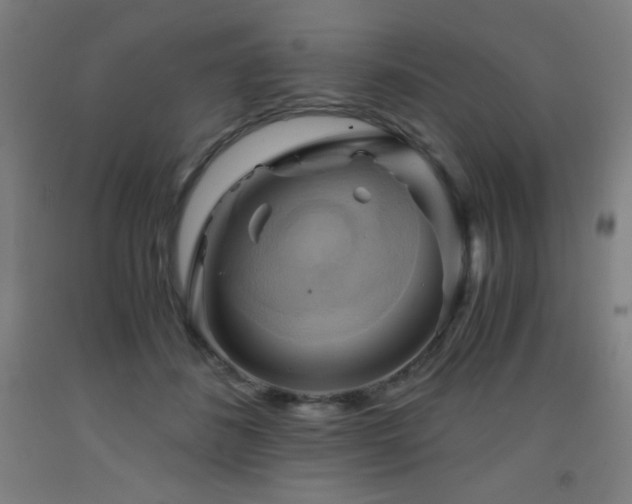 X0000093240508200709261711
