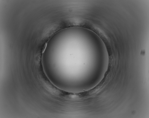 X0000093240509200709261711