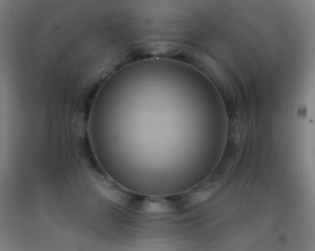 X0000093240510200709261711