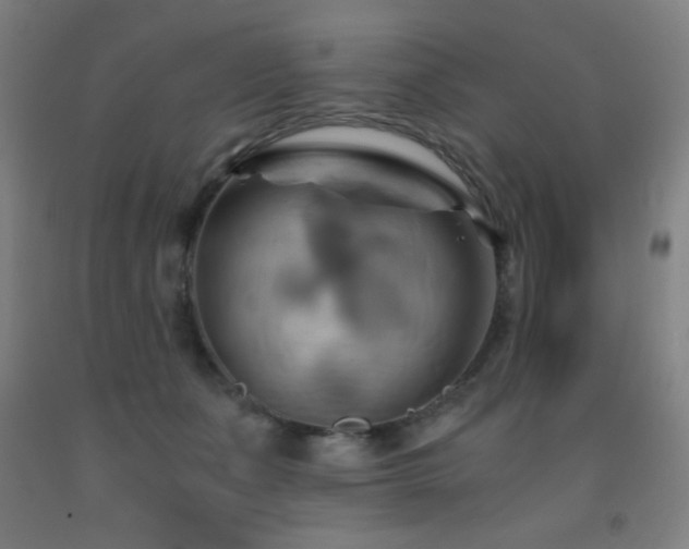 X0000093240511200709261711