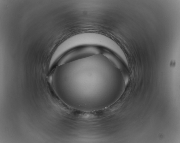X0000093240512200709261711