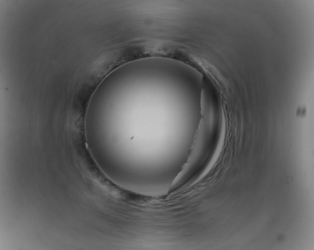 X0000093240513200709261711