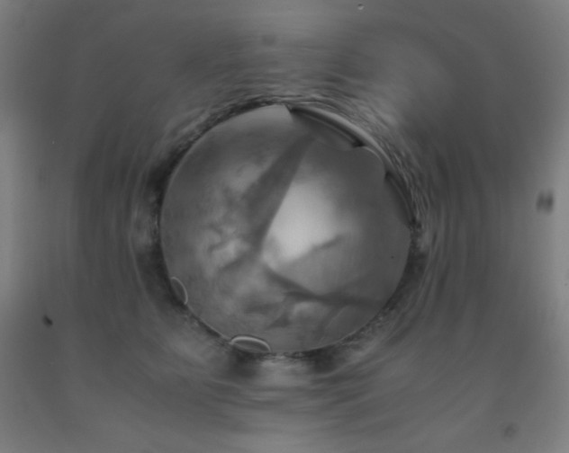 X0000093240515200709261711