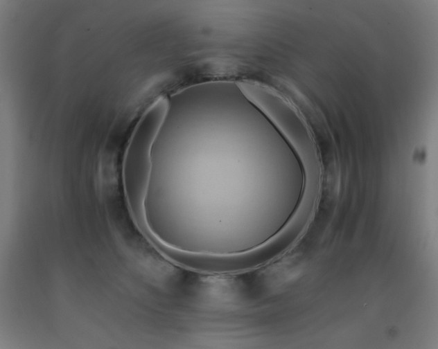 X0000093240516200709261711