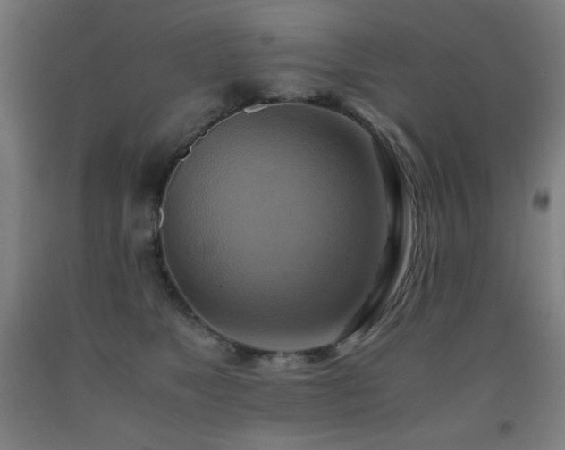 X0000093240517200709261711
