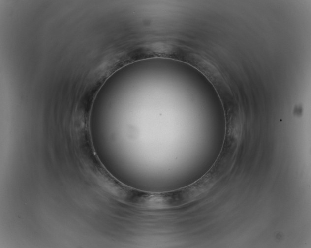 X0000093240518200709261711