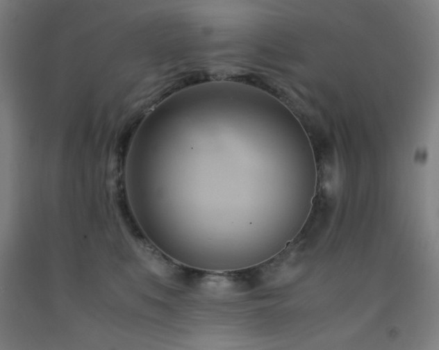 X0000093240519200709261711
