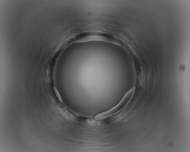 X0000093240520200709261711