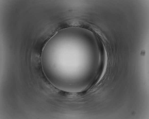X0000093240521200709261711