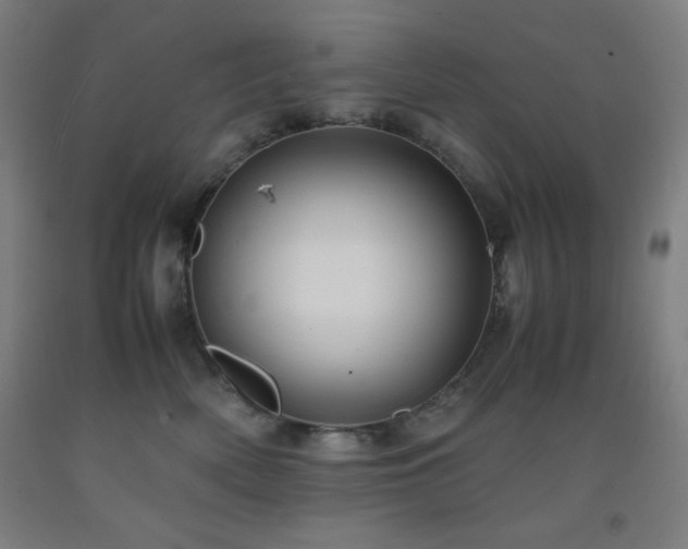 X0000093240522200709261711