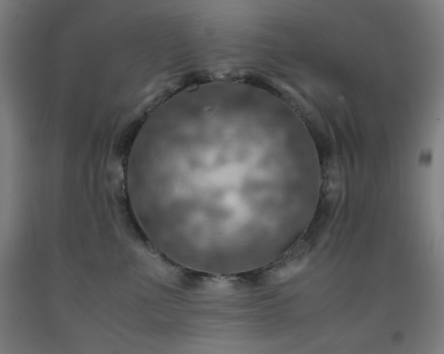 X0000093240523200709261711