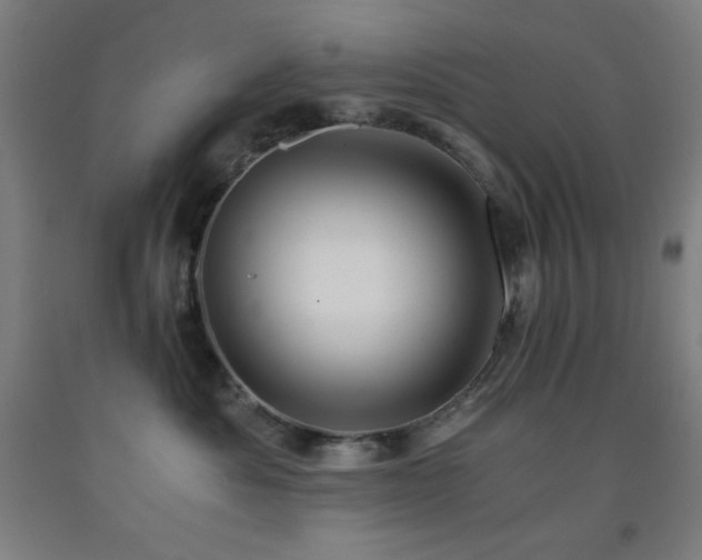 X0000093240525200709261711