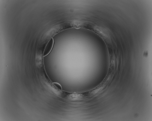 X0000093240526200709261711