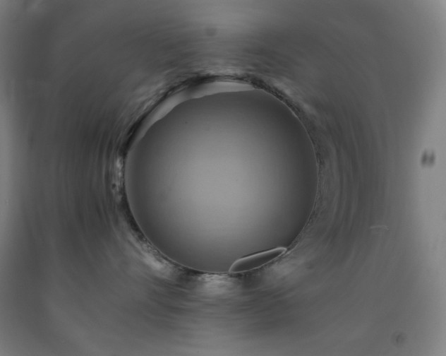 X0000093240528200709261711