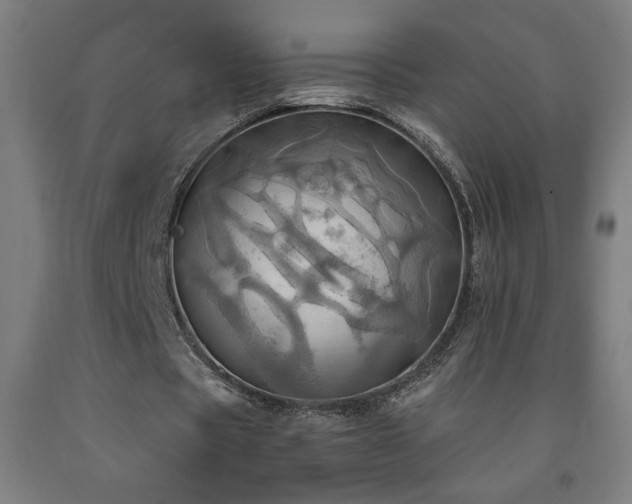 X0000093240529200709261710
