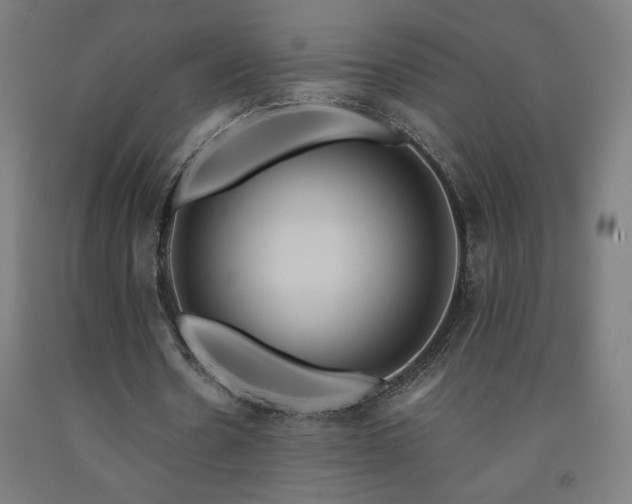 X0000093240530200709261710