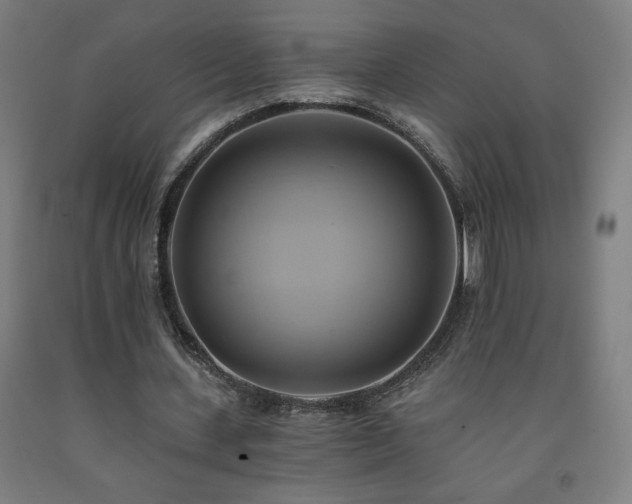 X0000093240531200709261710