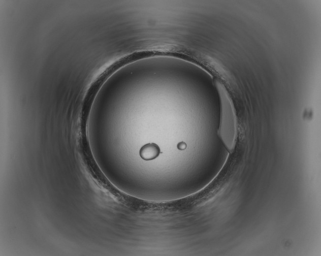 X0000093240532200709261710