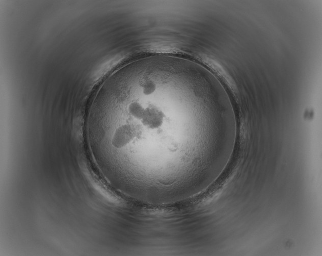 X0000093240533200709261710