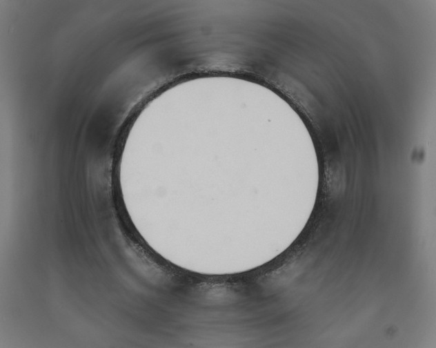 X0000093240534200709261710